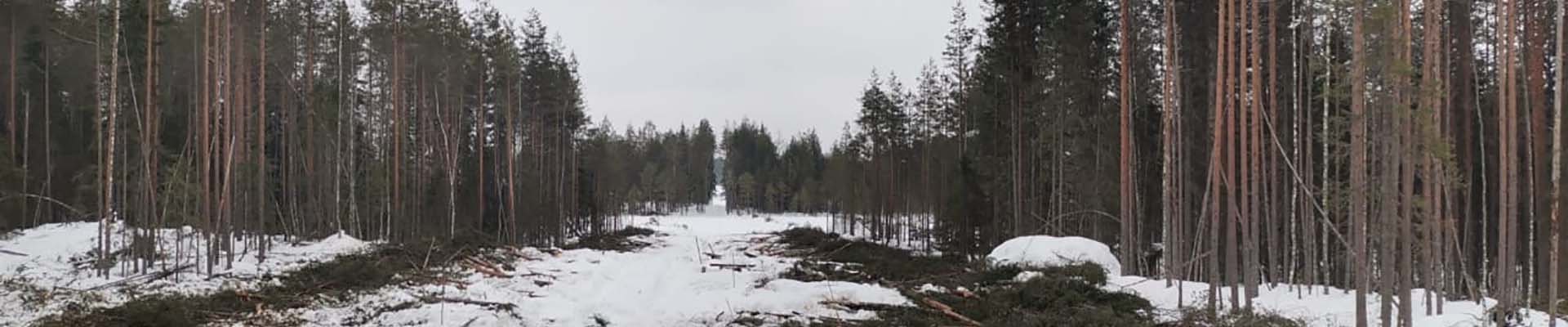 <b>ВЫРУБКА ПРОСЕК ПОД ЛЭП</b>