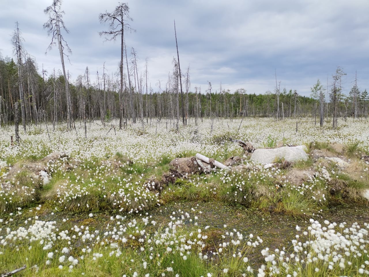 Изображение 02