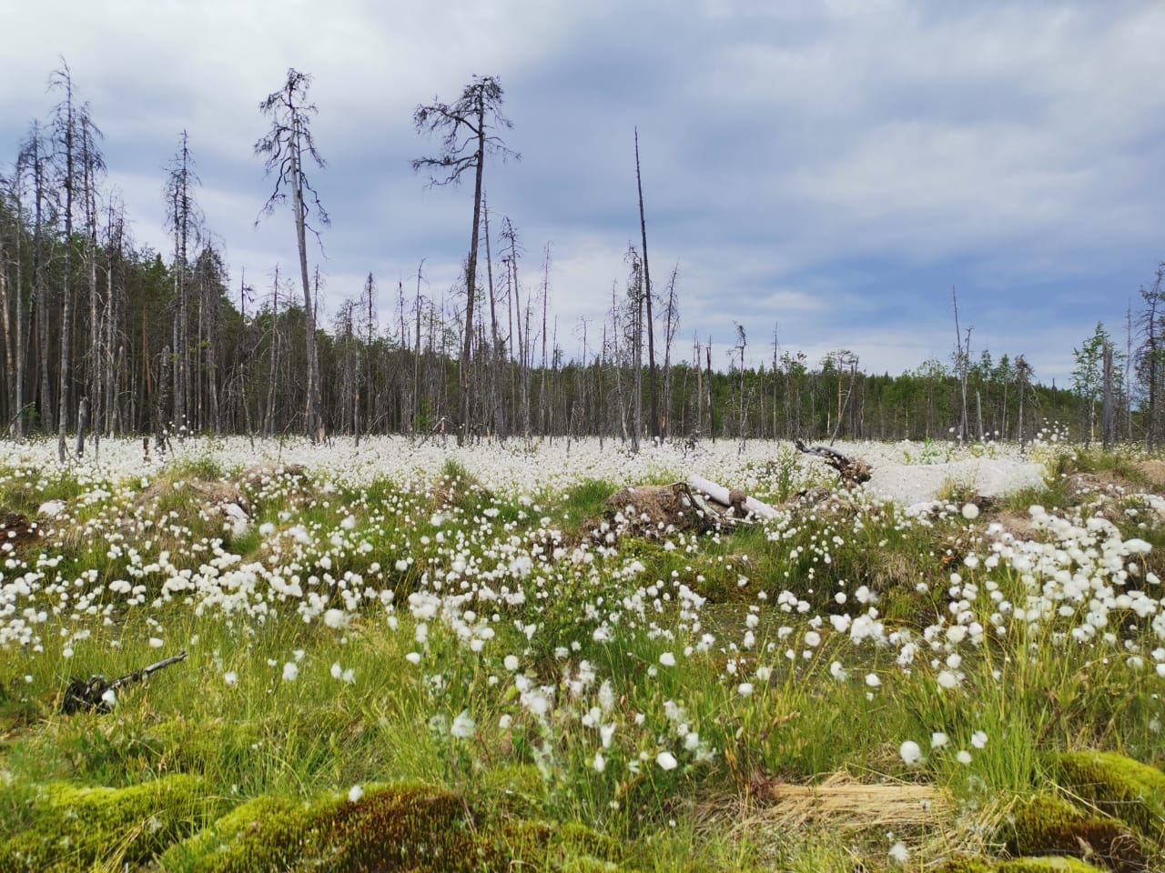 Изображение 03