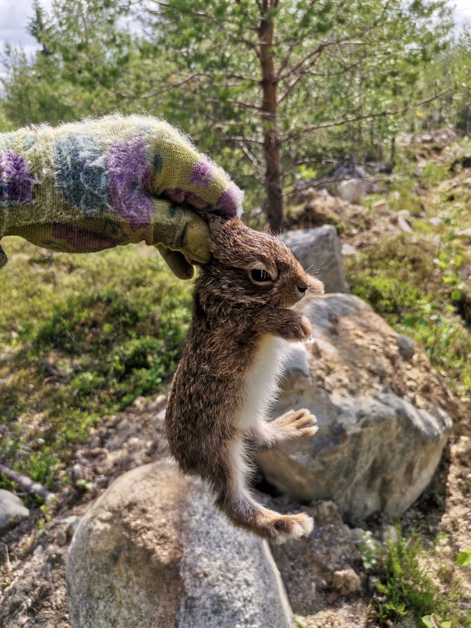 Изображение 04