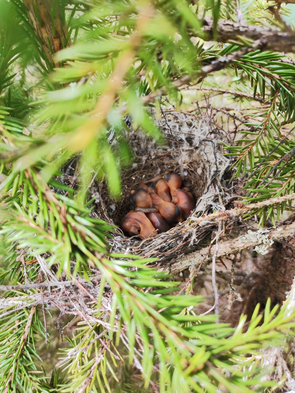 Изображение 05