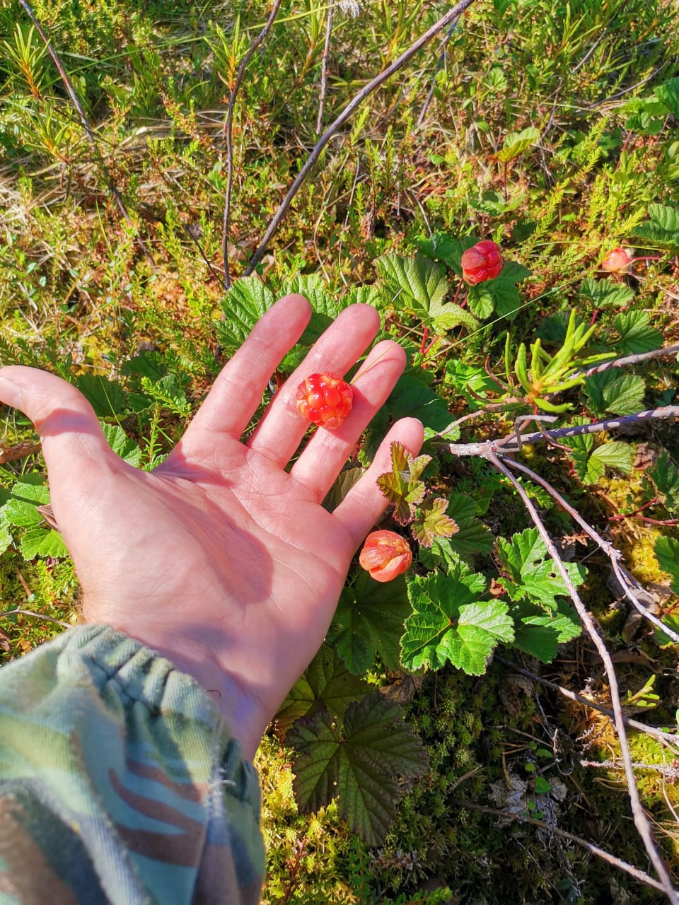 Изображение 07