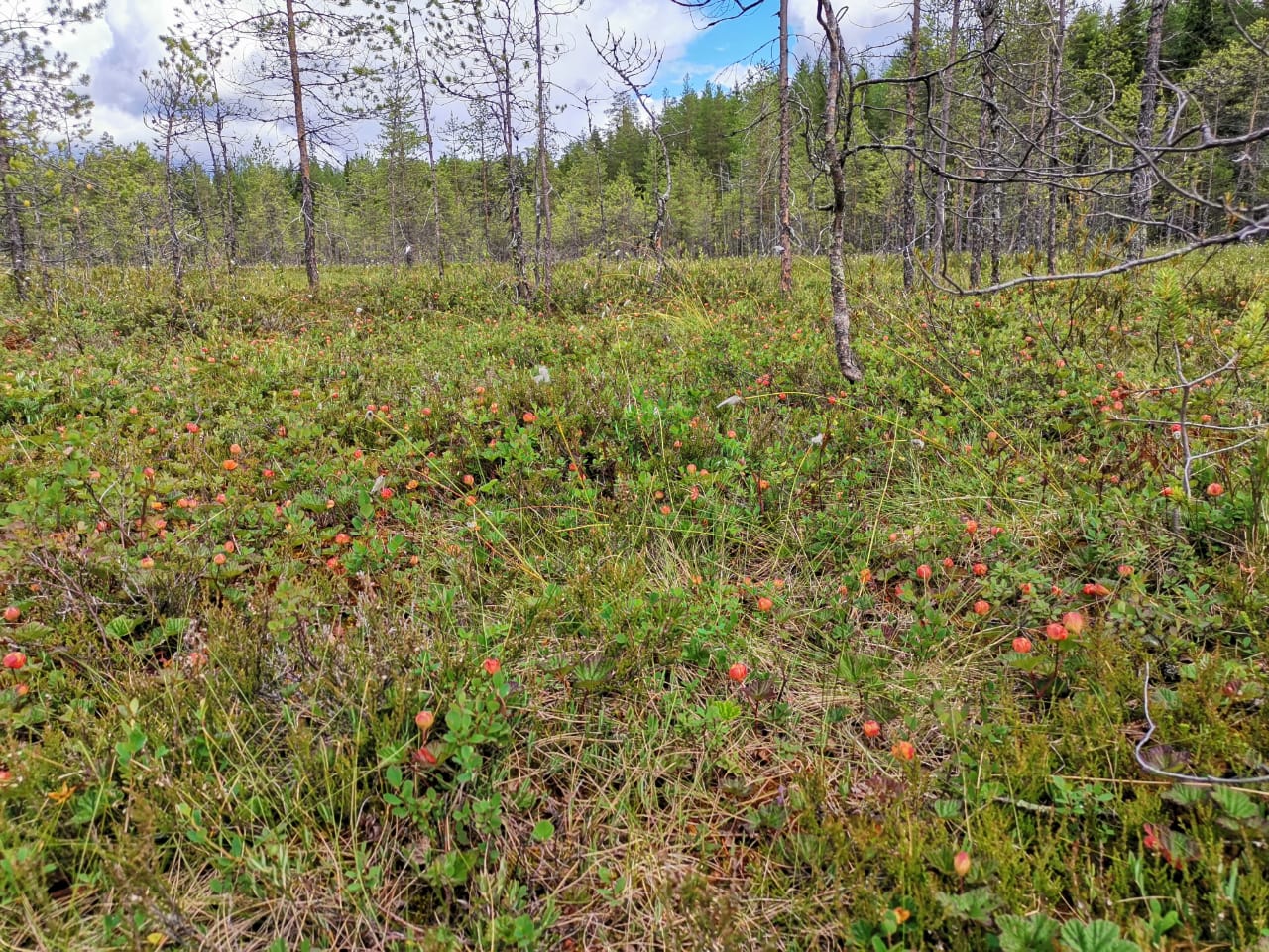 Изображение 10