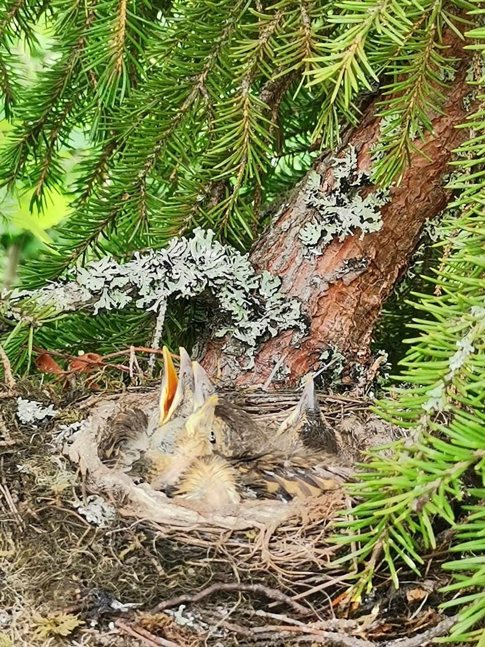 Изображение 11