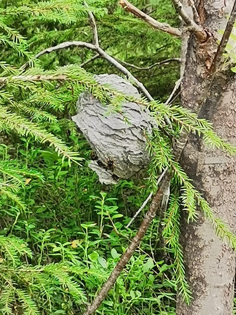 Изображение 12