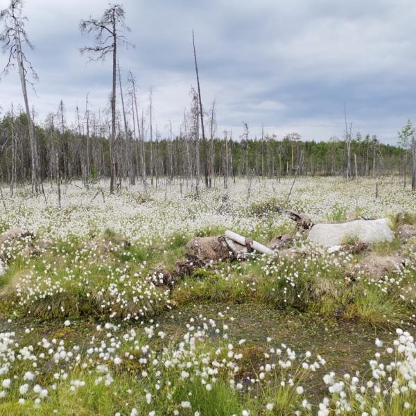 Изображение 02