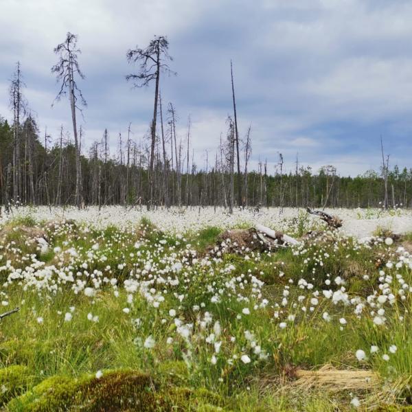 Изображение 03