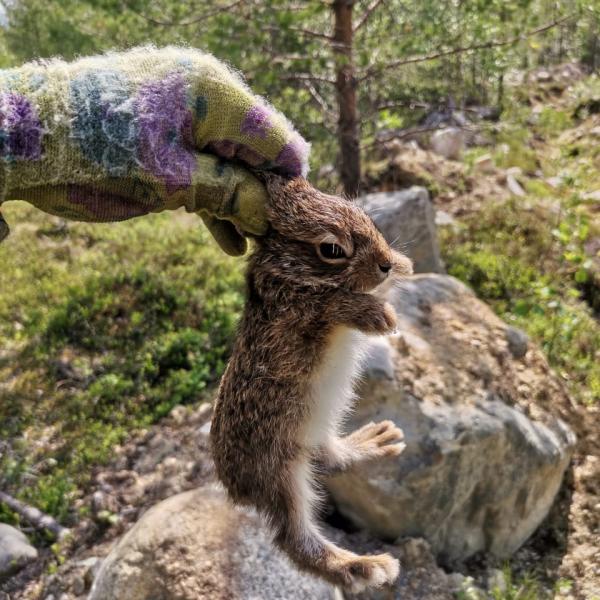 Изображение 04