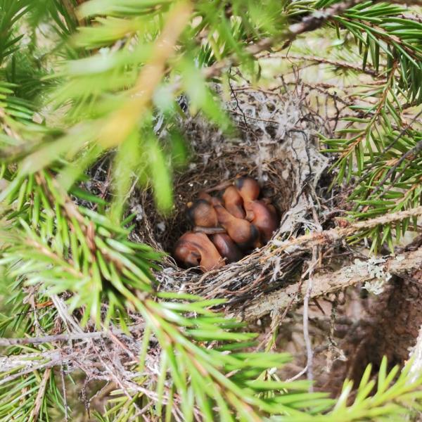 Изображение 05