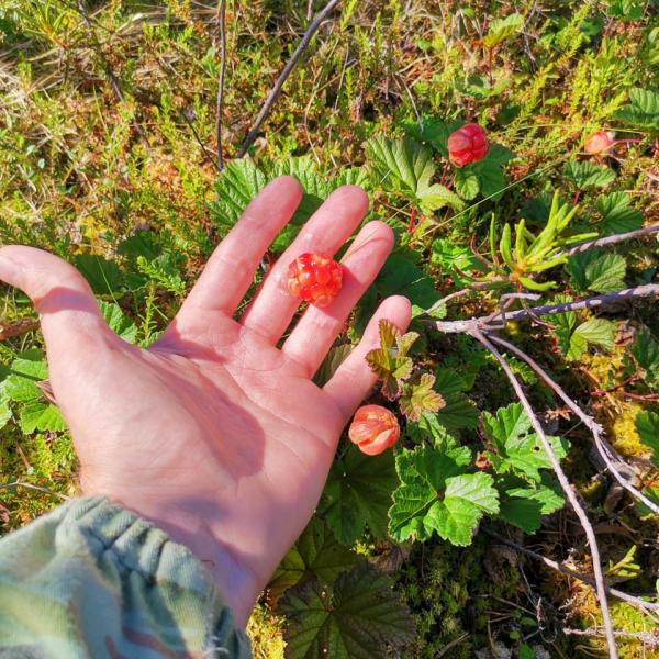 Изображение 07