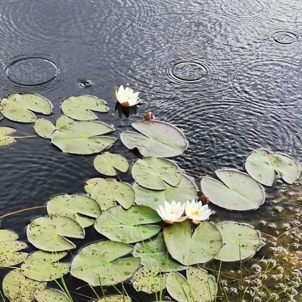 Изображение 09