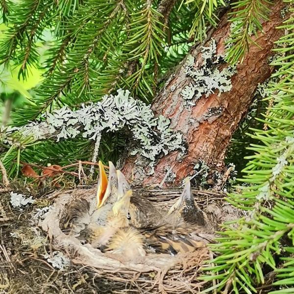 Изображение 11