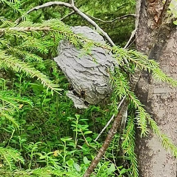 Изображение 12